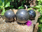 Polished Pharaoh Stone Spheres x 3 From Zimbabwe - Toprock Gemstones and Minerals 