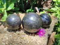 Polished Pharaoh Stone Spheres x 3 From Zimbabwe - Toprock Gemstones and Minerals 