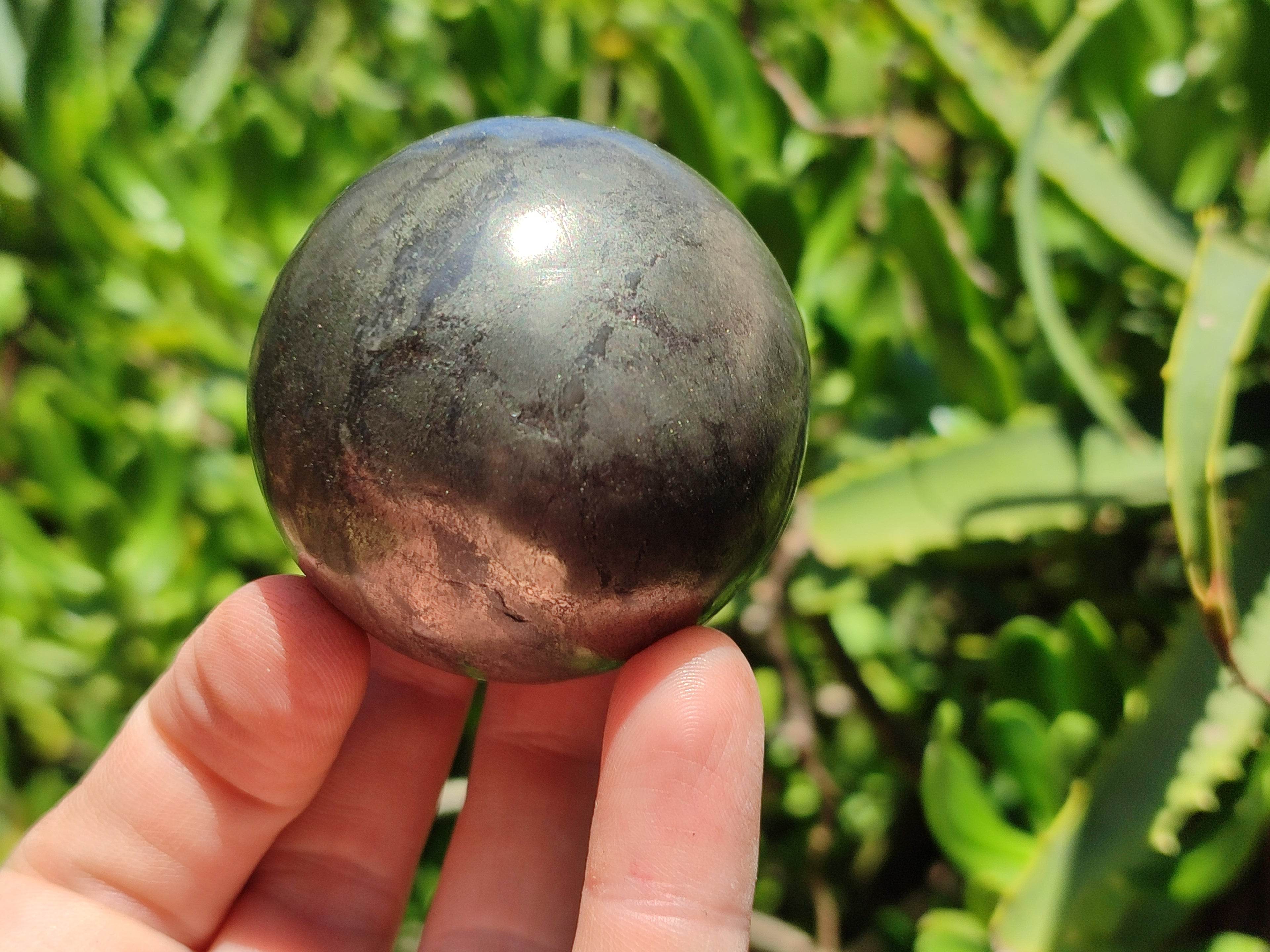 Polished Pharaoh Stone Spheres x 3 From Zimbabwe - Toprock Gemstones and Minerals 