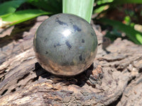 Polished Pharaoh Stone Spheres x 3 From Zimbabwe - Toprock Gemstones and Minerals 