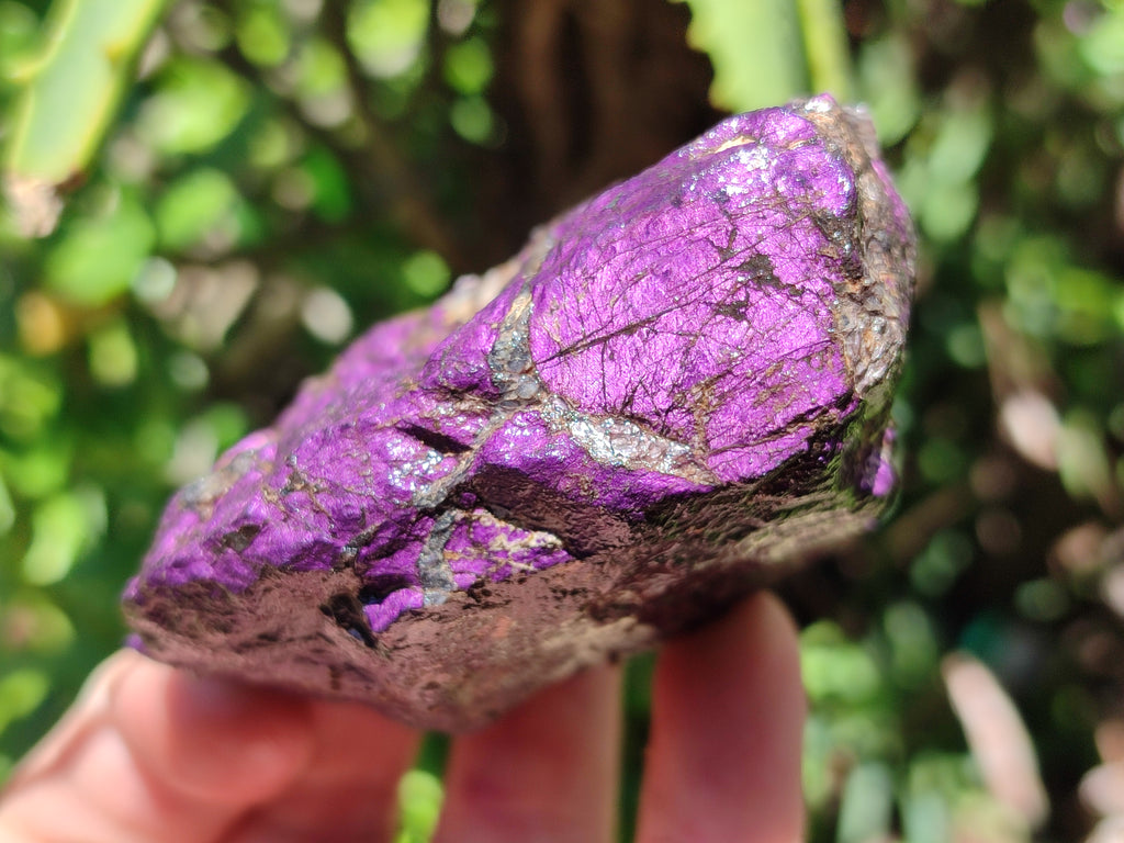 Natural Metallic Purpurite Cobbed Specimens x 6 From Erongo, Namibia - Toprock Gemstones and Minerals 