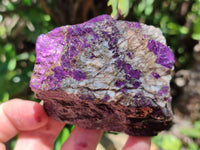 Natural Metallic Purpurite Cobbed Specimens x 6 From Erongo, Namibia - Toprock Gemstones and Minerals 