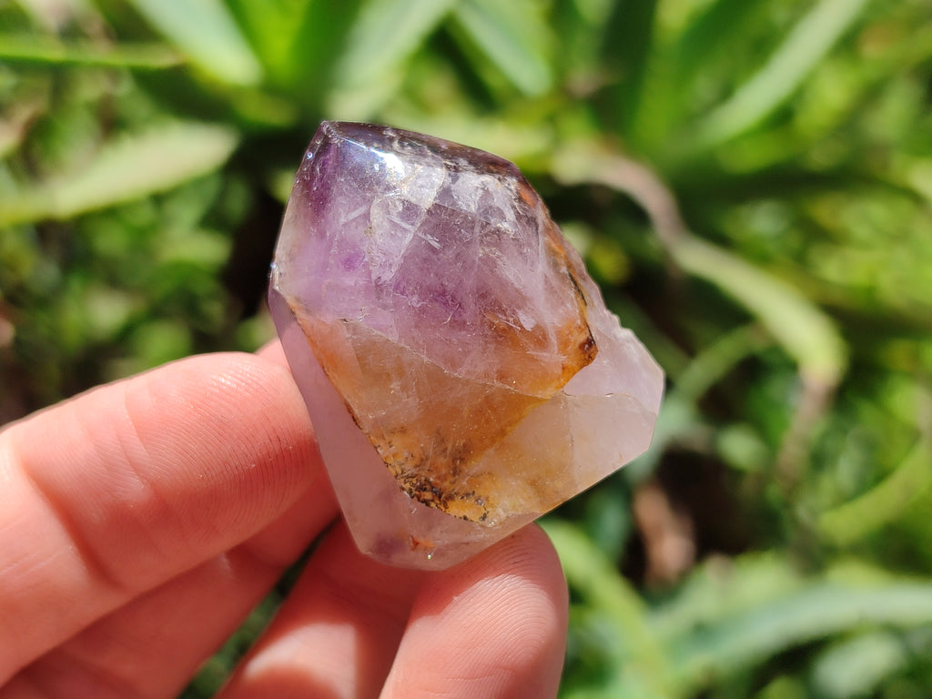 Polished Smokey Amethyst Window Quartz Crystals x 16 From Akansobe, Madagascar - Toprock Gemstones and Minerals 