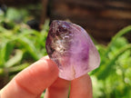 Polished Smokey Amethyst Window Quartz Crystals x 16 From Akansobe, Madagascar - Toprock Gemstones and Minerals 