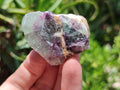 Natural Watermelon Fluorite Cobbed Specimens x 2.6 Kg Lot From Uis, Namibia - Toprock Gemstones and Minerals 