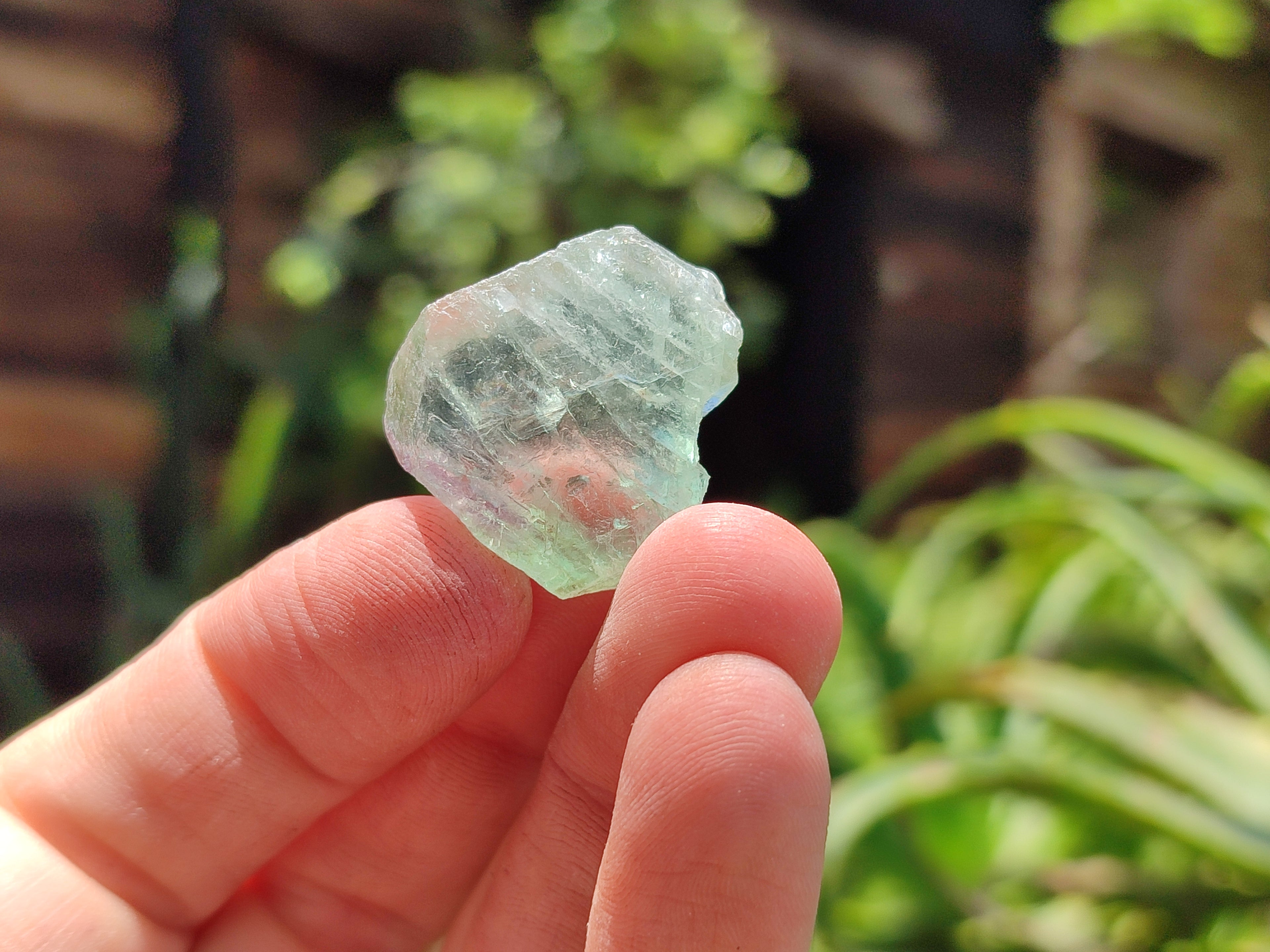 Natural Watermelon Fluorite Cobbed Specimens x 2.6 Kg Lot From Uis, Namibia - Toprock Gemstones and Minerals 