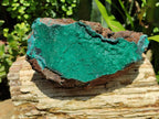 Natural Botryoidal Malachite Specimen x 1 From Tenke Fungurume, Congo - Toprock Gemstones and Minerals 