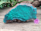 Natural Botryoidal Malachite Specimen x 1 From Tenke Fungurume, Congo - Toprock Gemstones and Minerals 