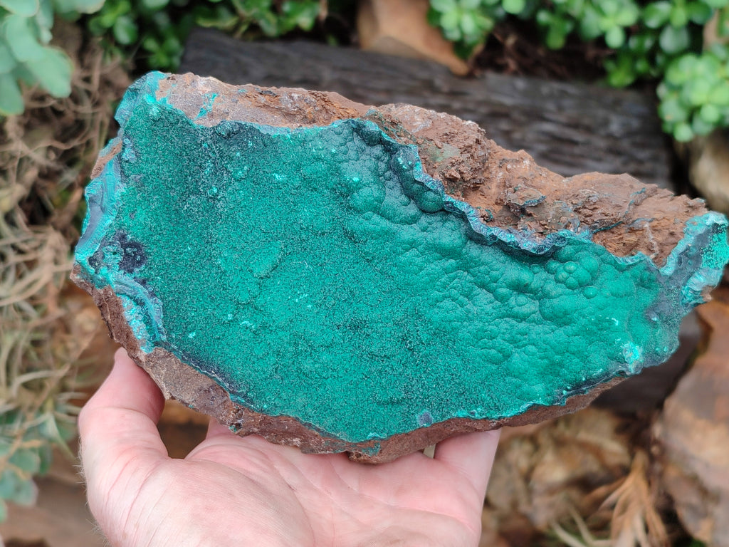 Natural Botryoidal Malachite Specimen x 1 From Tenke Fungurume, Congo - Toprock Gemstones and Minerals 