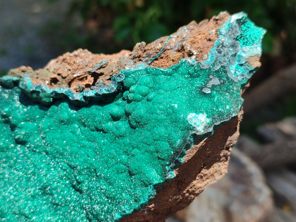 Natural Botryoidal Malachite Specimen x 1 From Tenke Fungurume, Congo - Toprock Gemstones and Minerals 