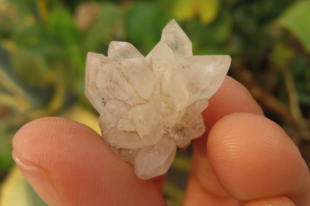 Natural Quartz Crystals x 30 From Brandberg, Namibia - Toprock Gemstones and Minerals 
