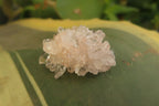 Natural Quartz Crystals x 30 From Brandberg, Namibia - Toprock Gemstones and Minerals 