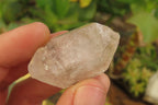 Natural Quartz Crystals x 30 From Brandberg, Namibia - Toprock Gemstones and Minerals 
