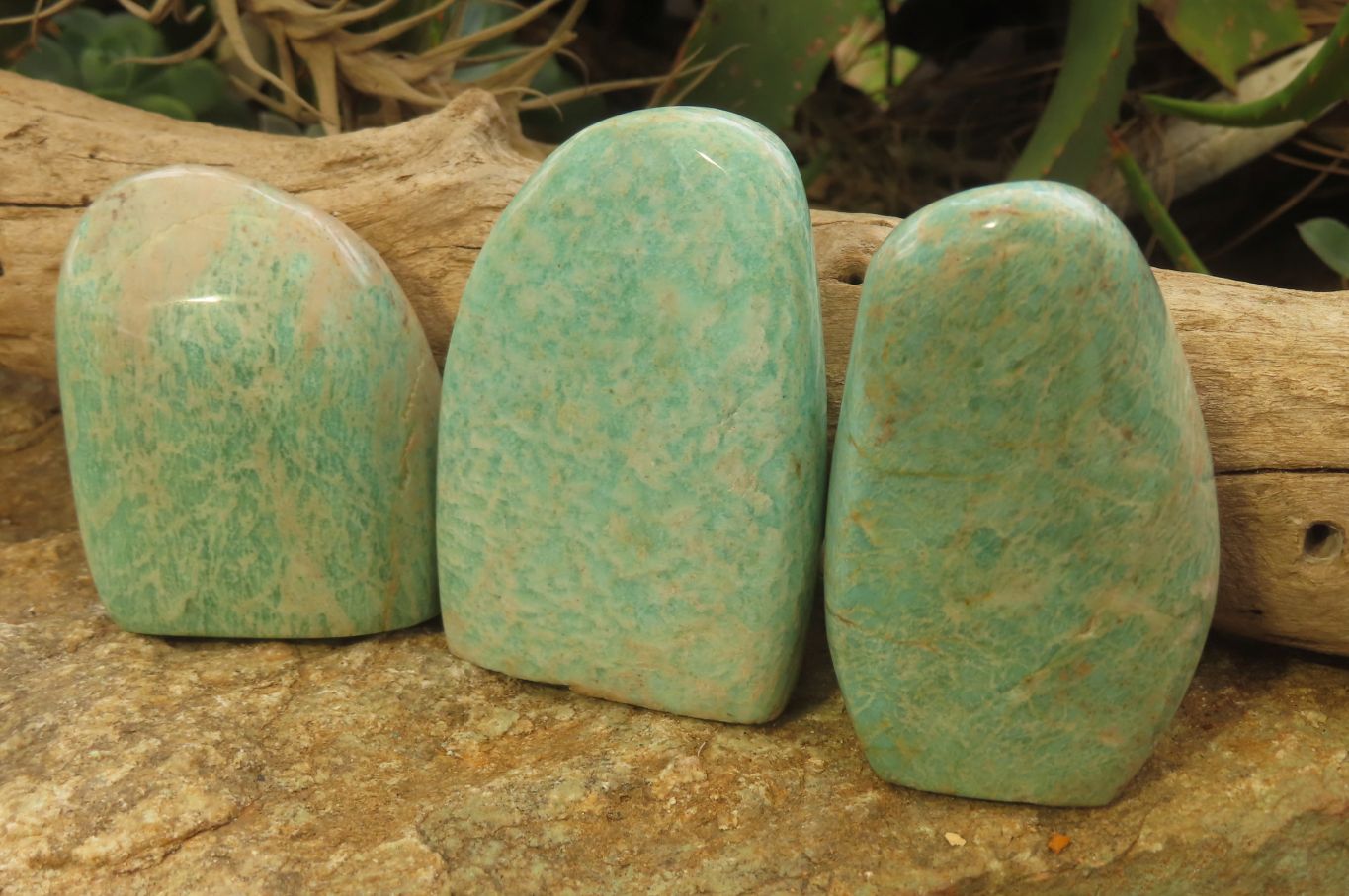 Polished Amazonite Standing Free Forms x 12 From Zimbabwe - Toprock Gemstones and Minerals 