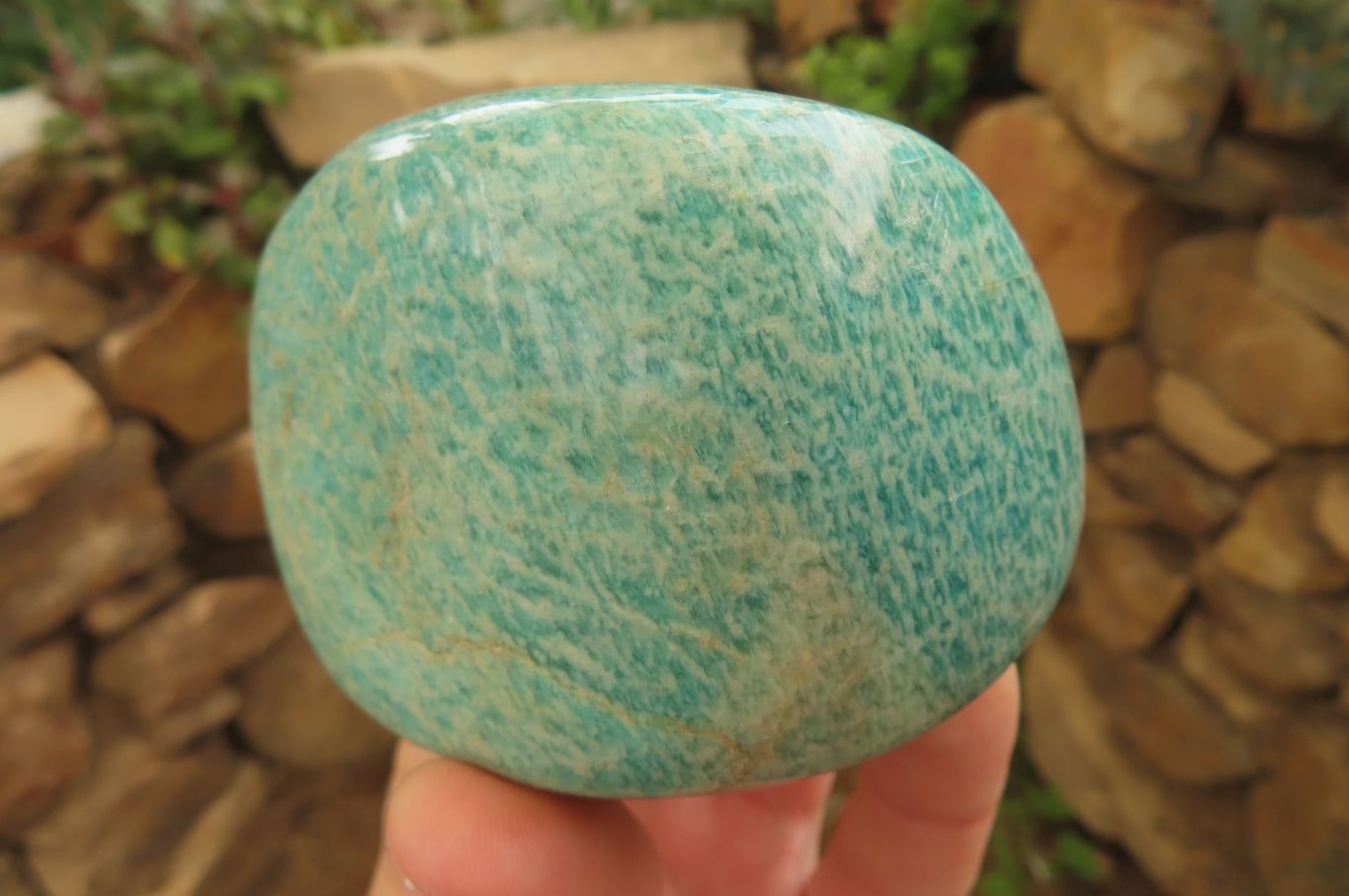 Polished Amazonite Standing Free Forms x 12 From Zimbabwe - Toprock Gemstones and Minerals 