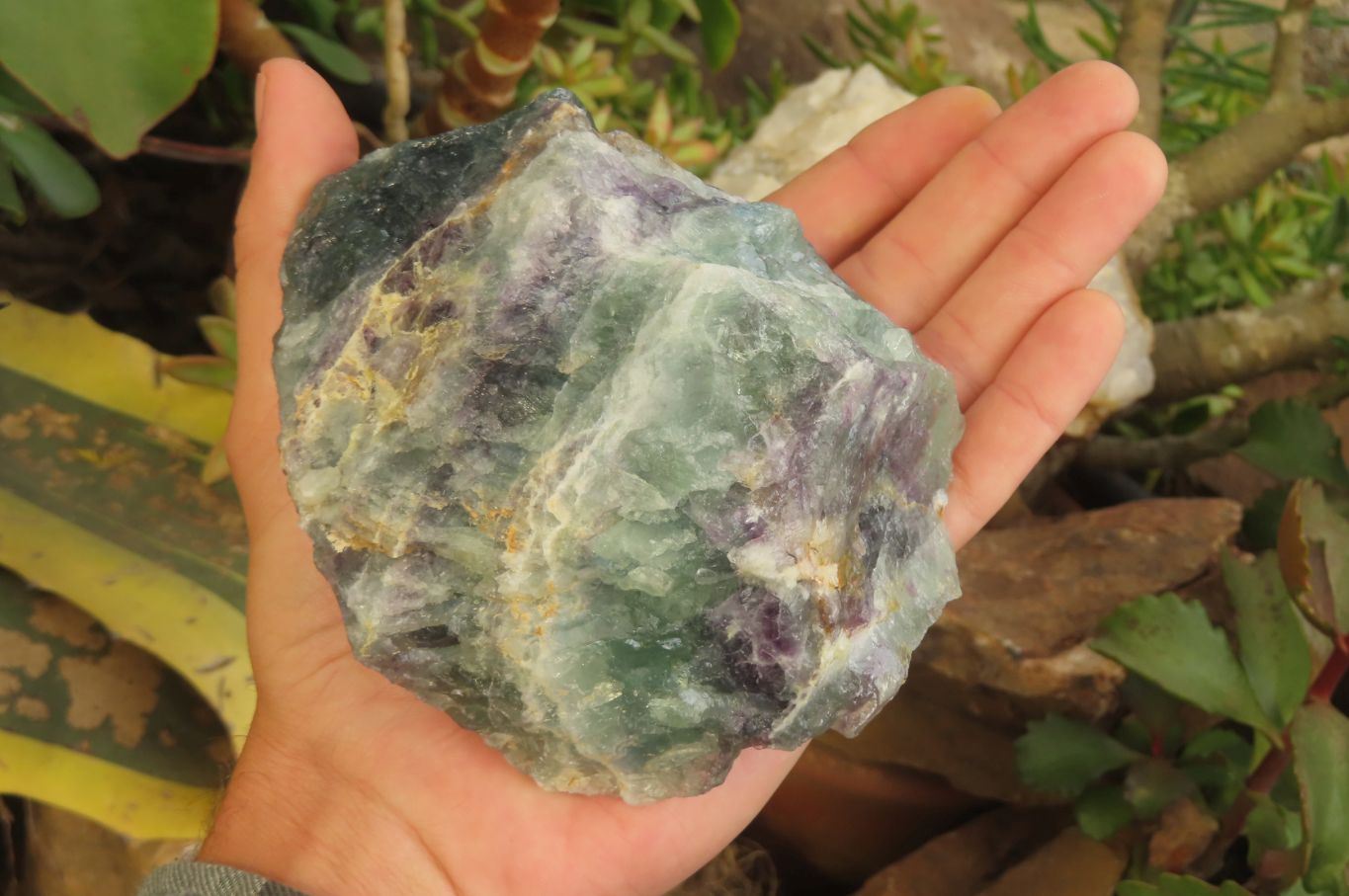 Natural Watermelon Fluorite Specimens x 4 From Uis, Namibia - Toprock Gemstones and Minerals 