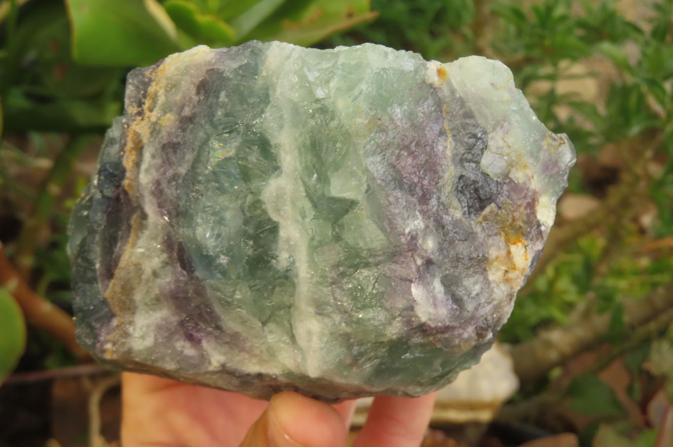 Natural Watermelon Fluorite Specimens x 4 From Uis, Namibia - Toprock Gemstones and Minerals 