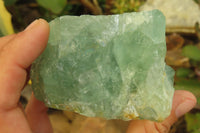 Natural Watermelon Fluorite Specimens x 4 From Uis, Namibia - Toprock Gemstones and Minerals 