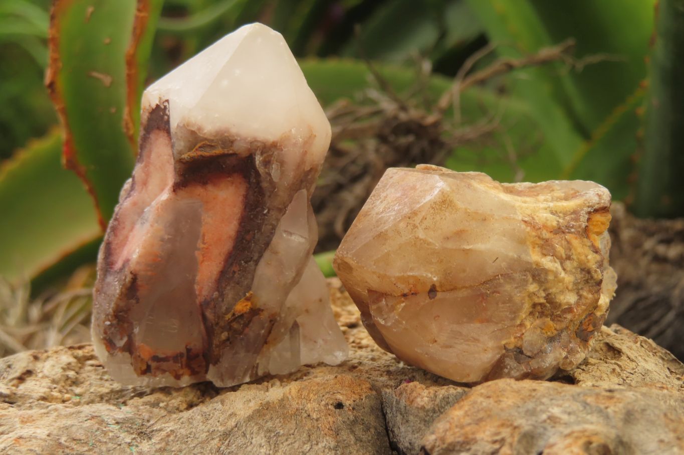 Natural Pineapple Candle Quartz Crystals x 35 From Antsirabe, Madagascar - Toprock Gemstones and Minerals 