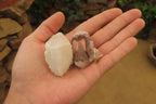 Natural Pineapple Candle Quartz Crystals x 35 From Antsirabe, Madagascar - Toprock Gemstones and Minerals 