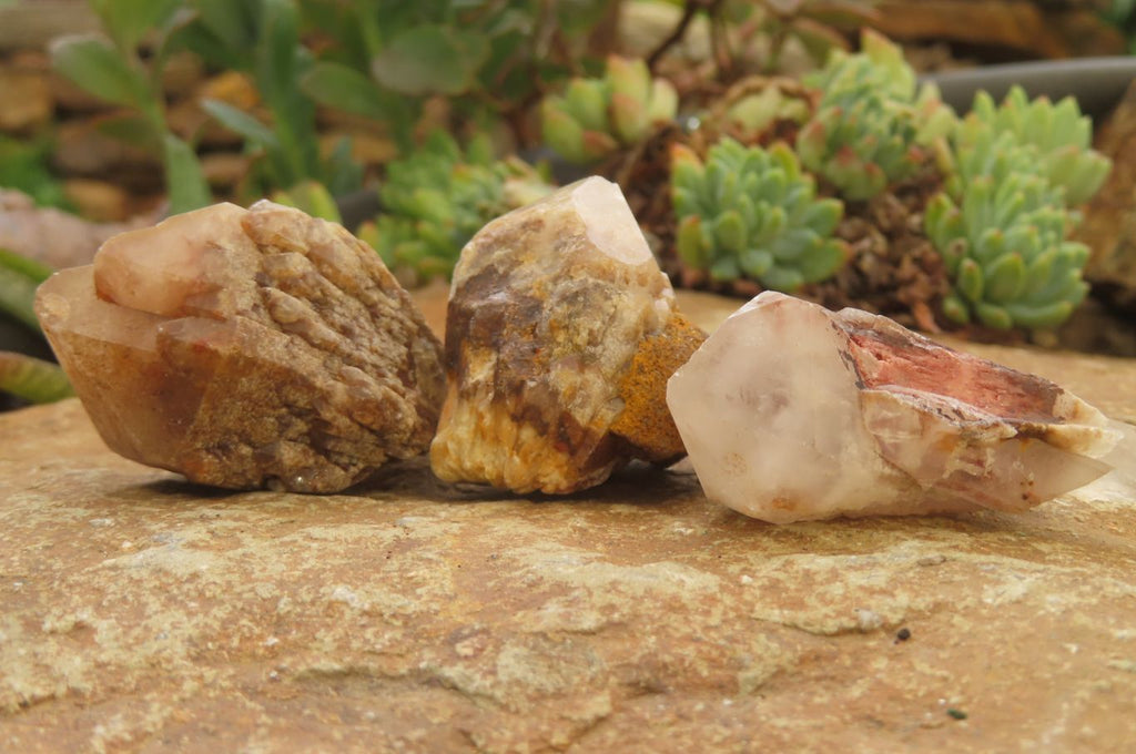 Natural Pineapple Candle Quartz Crystals x 35 From Antsirabe, Madagascar - Toprock Gemstones and Minerals 