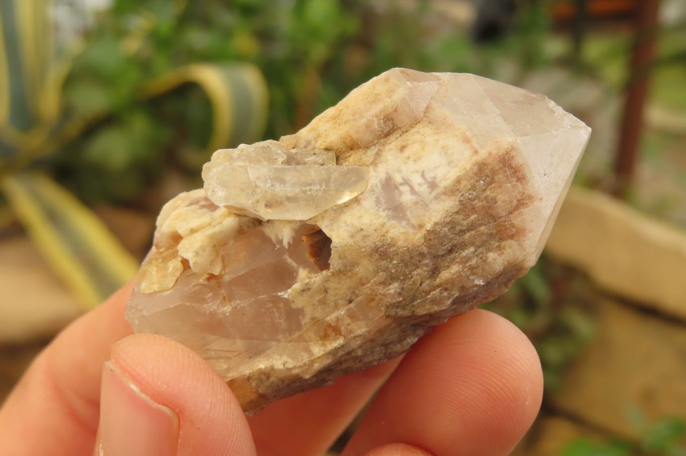 Natural Pineapple Candle Quartz Crystals x 35 From Antsirabe, Madagascar - Toprock Gemstones and Minerals 