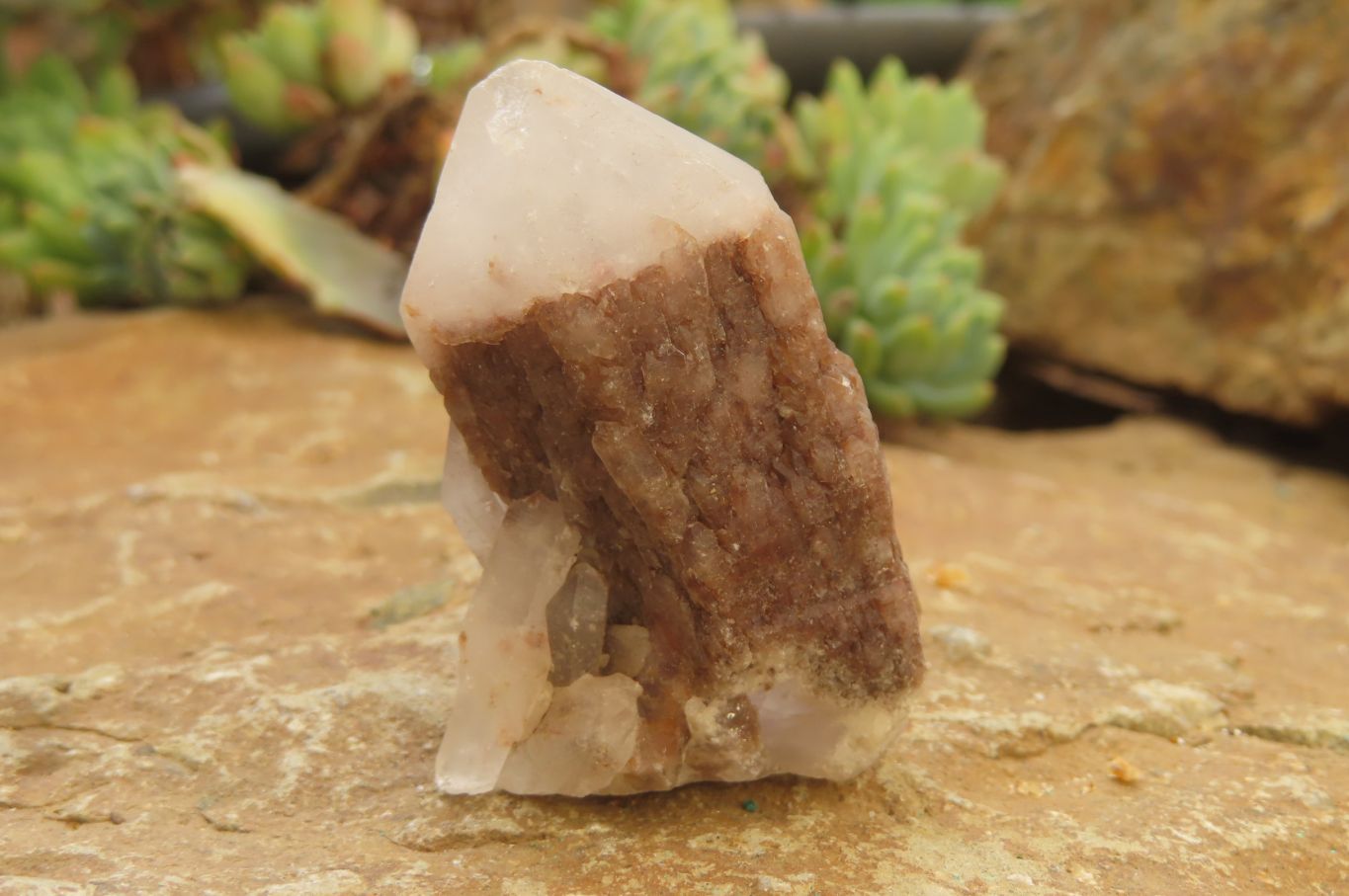 Natural Pineapple Candle Quartz Crystals x 35 From Antsirabe, Madagascar - Toprock Gemstones and Minerals 