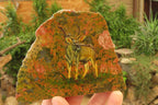 Hand Made Kudu Buck Decoupage on Unakite Stone Slabs - sold per item - From Southern Africa - Toprock Gemstones and Minerals 