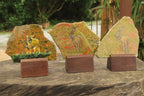 Hand Made Kudu Buck Decoupage on Unakite Stone Slabs - sold per item - From Southern Africa - Toprock Gemstones and Minerals 
