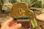 Hand Made Kudu Buck Decoupage on Unakite Stone Slabs - sold per item - From Southern Africa - Toprock Gemstones and Minerals 