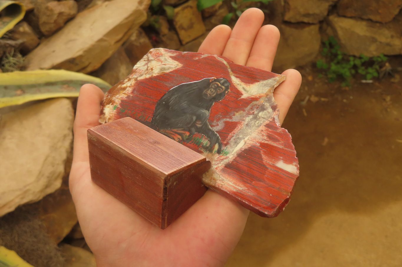 Hand Made Chimpanzee Decoupage on Brecciated Jasper Stone Slabs - Sold Per Item - From South Africa - Toprock Gemstones and Minerals 