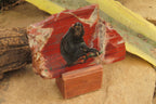 Hand Made Chimpanzee Decoupage on Brecciated Jasper Stone Slabs - Sold Per Item - From South Africa - Toprock Gemstones and Minerals 