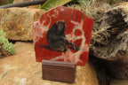 Hand Made Chimpanzee Decoupage on Brecciated Jasper Stone Slabs - Sold Per Item - From South Africa - Toprock Gemstones and Minerals 