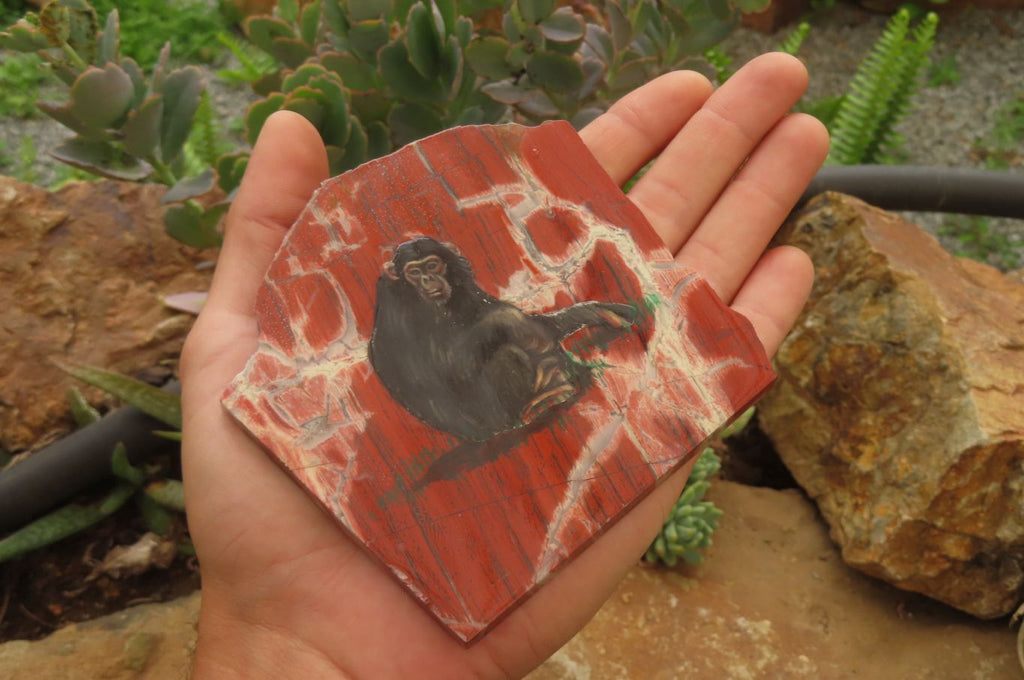 Hand Made Chimpanzee Decoupage on Brecciated Jasper Stone Slabs - Sold Per Item - From South Africa - Toprock Gemstones and Minerals 