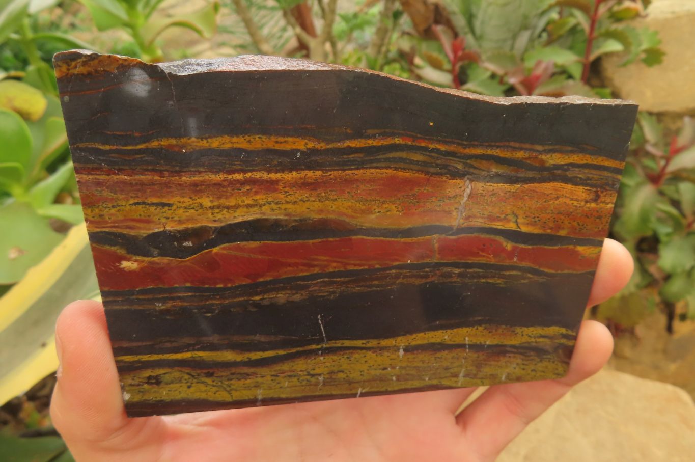 Hand Made Tigers Decoupage on Banded Tiger Iron Jasper Stone Slabs - Sold Per Item - From South Africa - Toprock Gemstones and Minerals 
