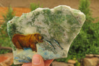 Hand Made Grizzly Bear Fishing Decoupage on Moss Agate Stone Slabs - sold per item - From South Africa - Toprock Gemstones and Minerals 