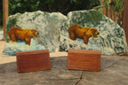 Hand Made Grizzly Bear Fishing Decoupage on Moss Agate Stone Slabs - sold per item - From South Africa - Toprock Gemstones and Minerals 