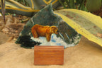 Hand Made Grizzly Bear Fishing Decoupage on Moss Agate Stone Slabs - sold per item - From South Africa - Toprock Gemstones and Minerals 