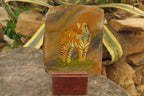 Hand Made Tiger Decoupage on Polychrome Jasper Stone Slabs - sold per item - From Madagascar - Toprock Gemstones and Minerals 