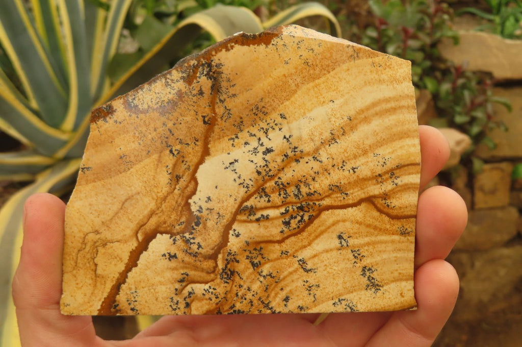 Hand Made Chimpanzee Decoupage on Picture Stone Jasper Stone Slabs - sold per item - From Namibia - Toprock Gemstones and Minerals 