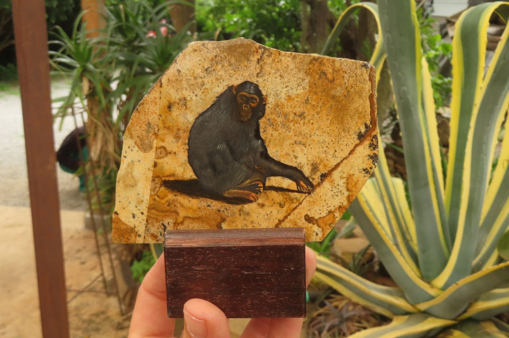 Hand Made Chimpanzee Decoupage on Picture Stone Jasper Stone Slabs - sold per item - From Namibia - Toprock Gemstones and Minerals 