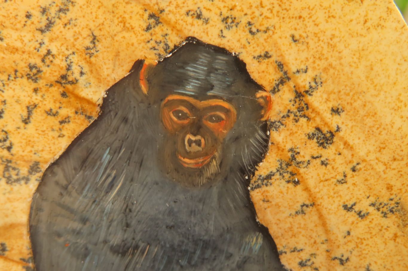 Hand Made Chimpanzee Decoupage on Picture Stone Jasper Stone Slabs - sold per item - From Namibia - Toprock Gemstones and Minerals 