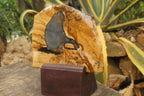 Hand Made Chimpanzee Decoupage on Picture Stone Jasper Stone Slabs - sold per item - From Namibia - Toprock Gemstones and Minerals 