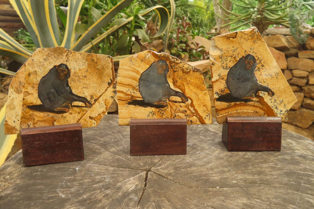 Hand Made Chimpanzee Decoupage on Picture Stone Jasper Stone Slabs - sold per item - From Namibia - Toprock Gemstones and Minerals 