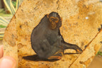 Hand Made Chimpanzee Decoupage on Picture Stone Jasper Stone Slabs - sold per item - From Namibia - Toprock Gemstones and Minerals 