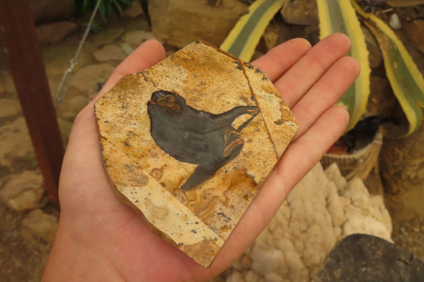 Hand Made Chimpanzee Decoupage on Picture Stone Jasper Stone Slabs - sold per item - From Namibia - Toprock Gemstones and Minerals 