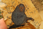 Hand Made Chimpanzee Decoupage on Picture Stone Jasper Stone Slabs - sold per item - From Namibia - Toprock Gemstones and Minerals 