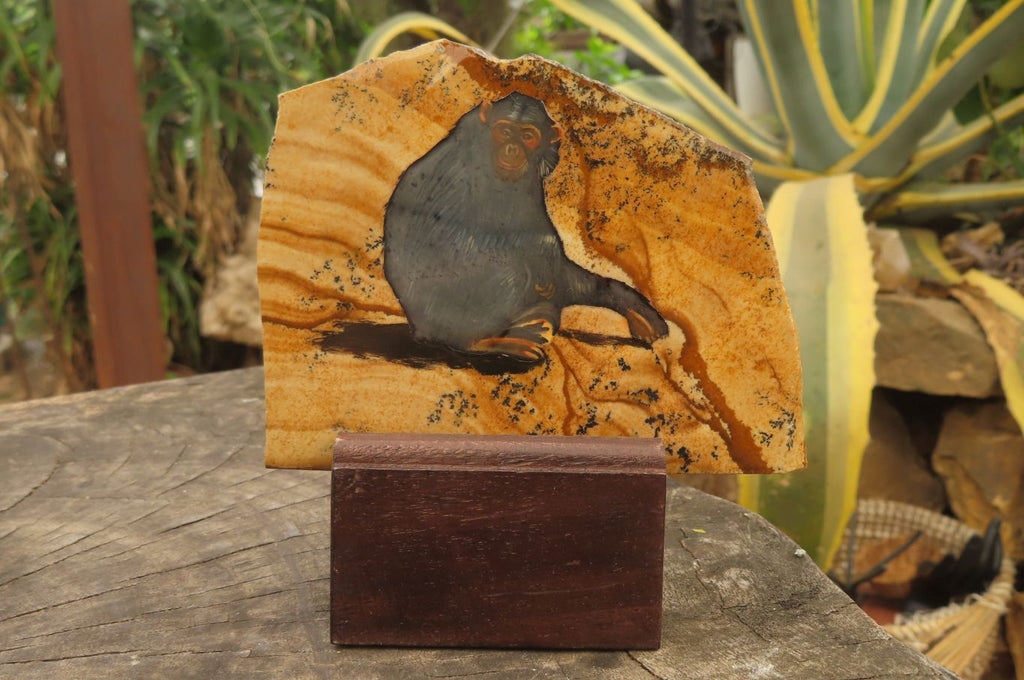 Hand Made Chimpanzee Decoupage on Picture Stone Jasper Stone Slabs - sold per item - From Namibia - Toprock Gemstones and Minerals 