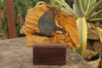 Hand Made Chimpanzee Decoupage on Picture Stone Jasper Stone Slabs - sold per item - From Namibia - Toprock Gemstones and Minerals 