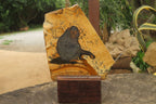 Hand Made Chimpanzee Decoupage on Picture Stone Jasper Stone Slabs - sold per item - From Namibia - Toprock Gemstones and Minerals 